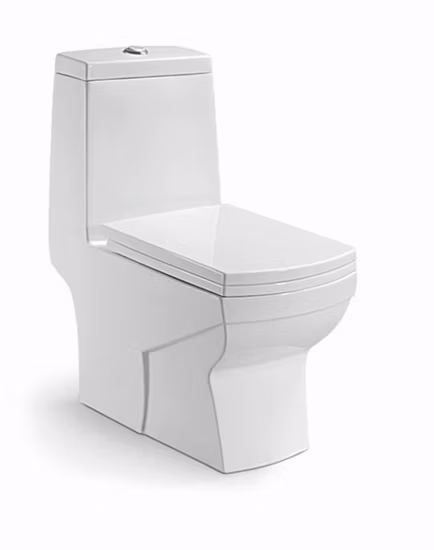 Chaozhou New Arrival Modern Products S Trap One Piece Shower Toilet